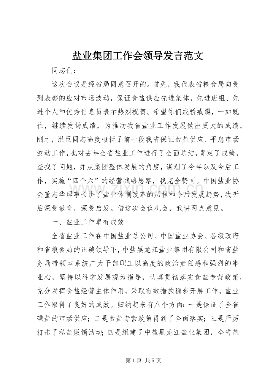 盐业集团工作会领导发言范文.docx_第1页