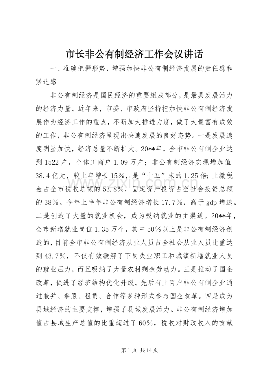 市长非公有制经济工作会议讲话.docx_第1页