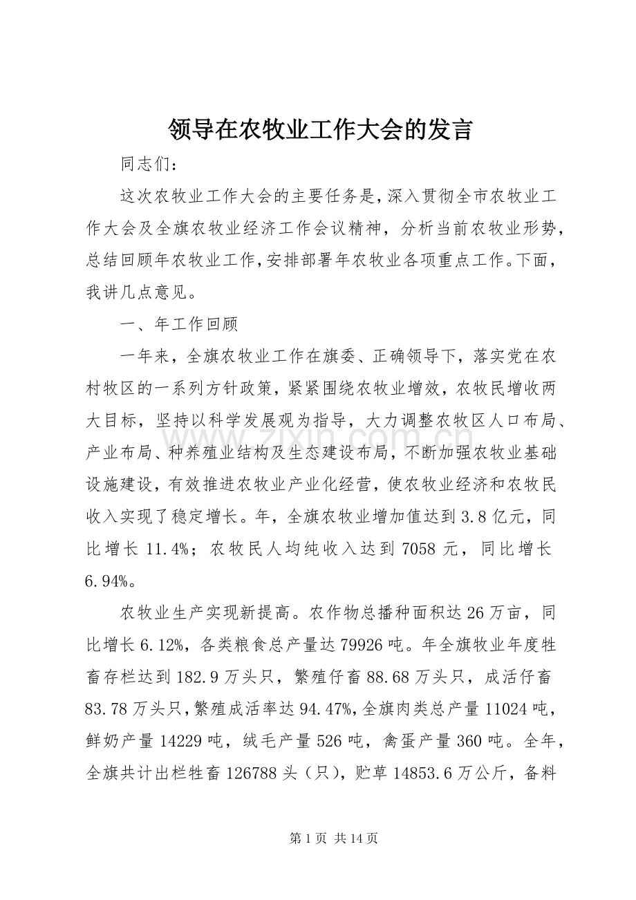 领导在农牧业工作大会的发言.docx_第1页