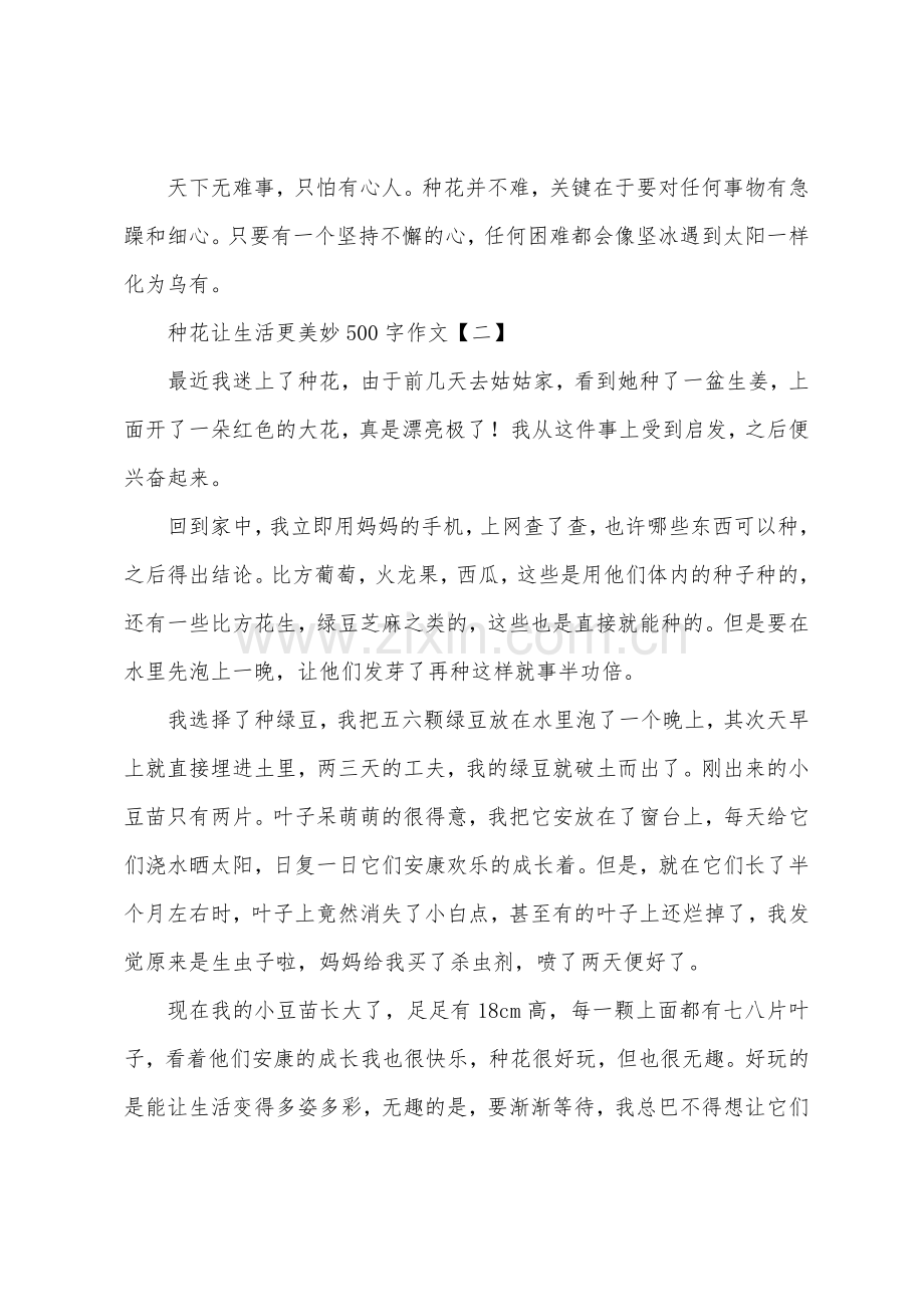 种花让生活更美好500字作文.docx_第2页