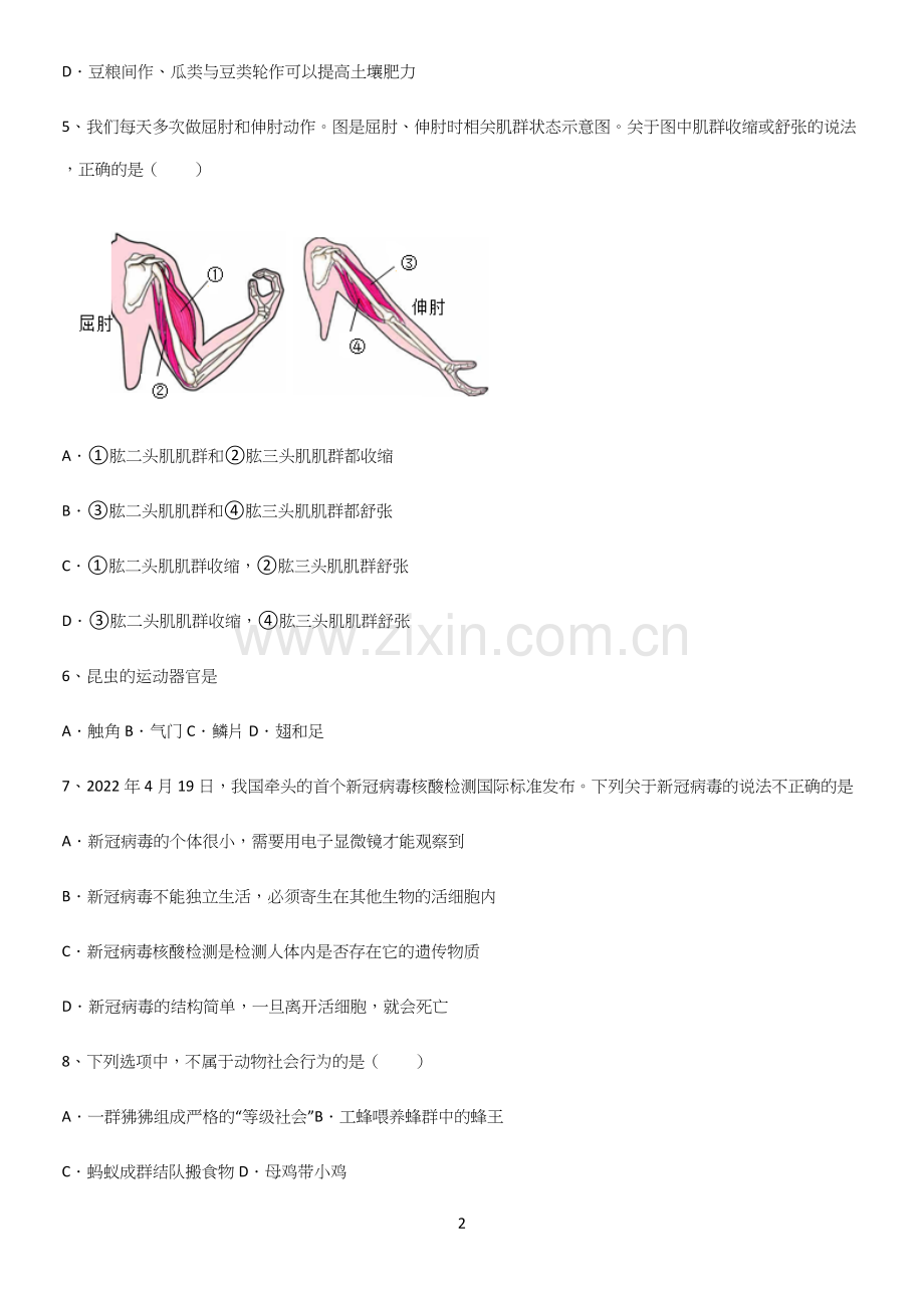 通用版初中生物八年级上册第五单元生物圈中的其他生物必考考点训练.docx_第2页