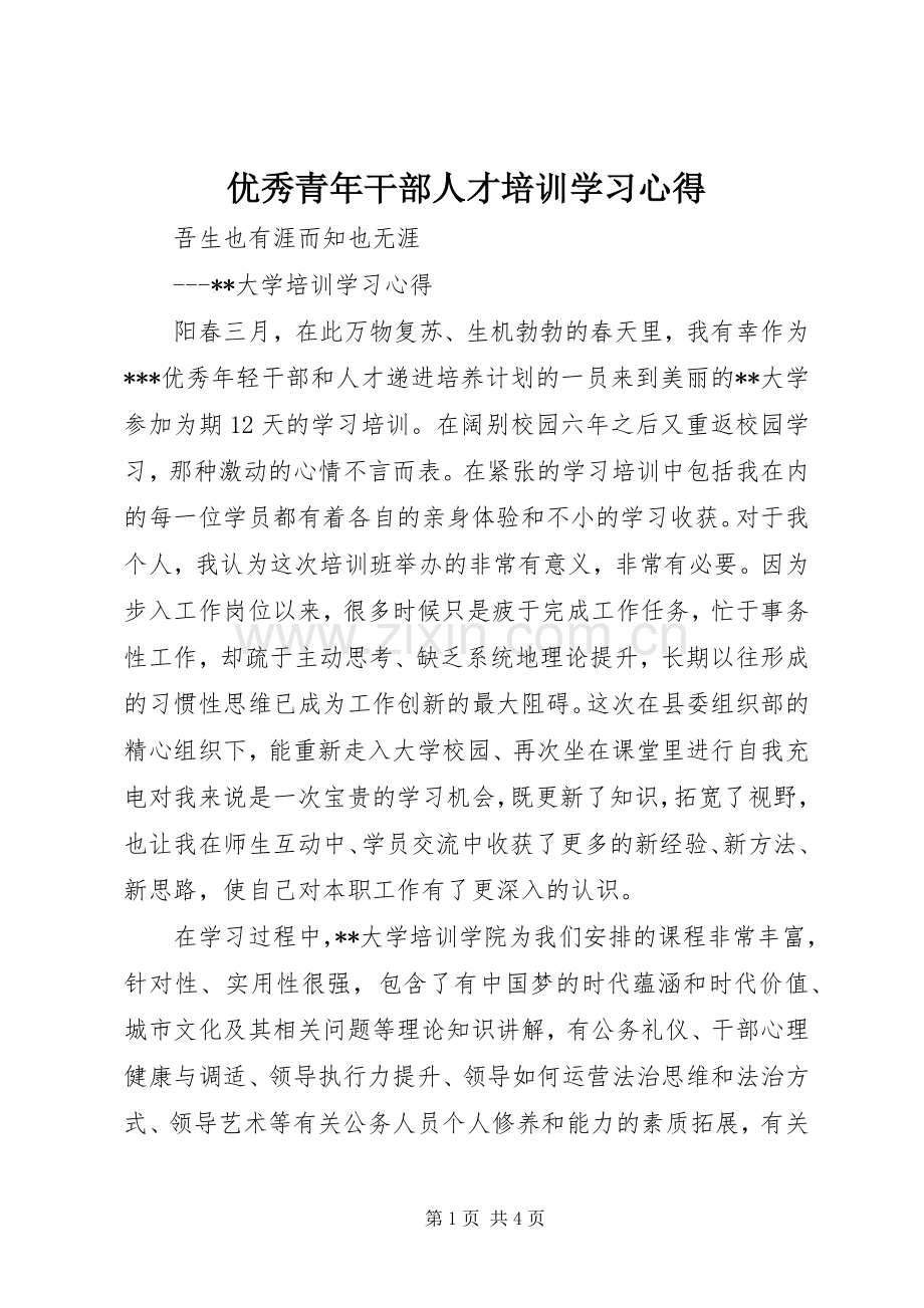 优秀青年干部人才培训学习心得.docx_第1页