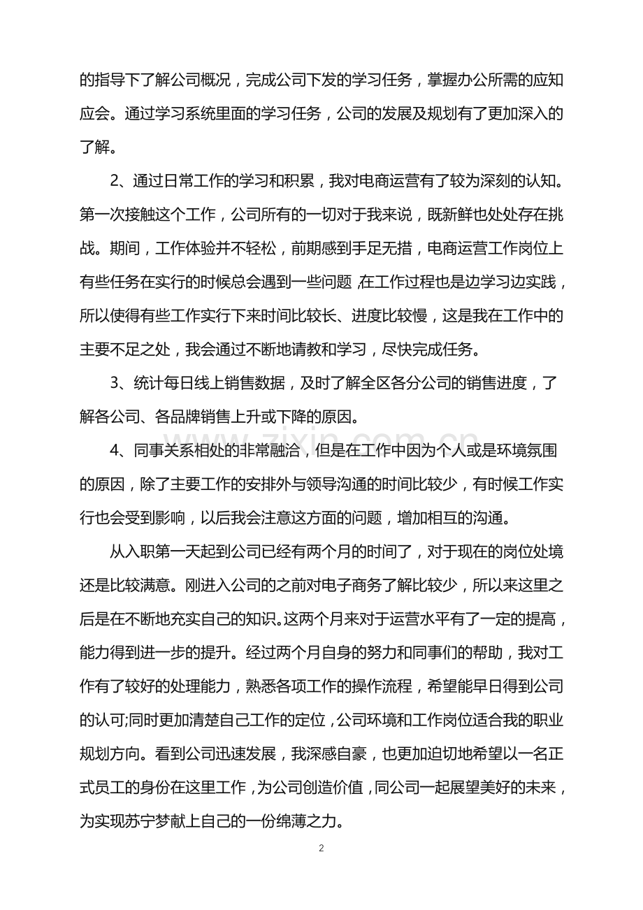 电商运营试用期个人工作总结.doc_第2页