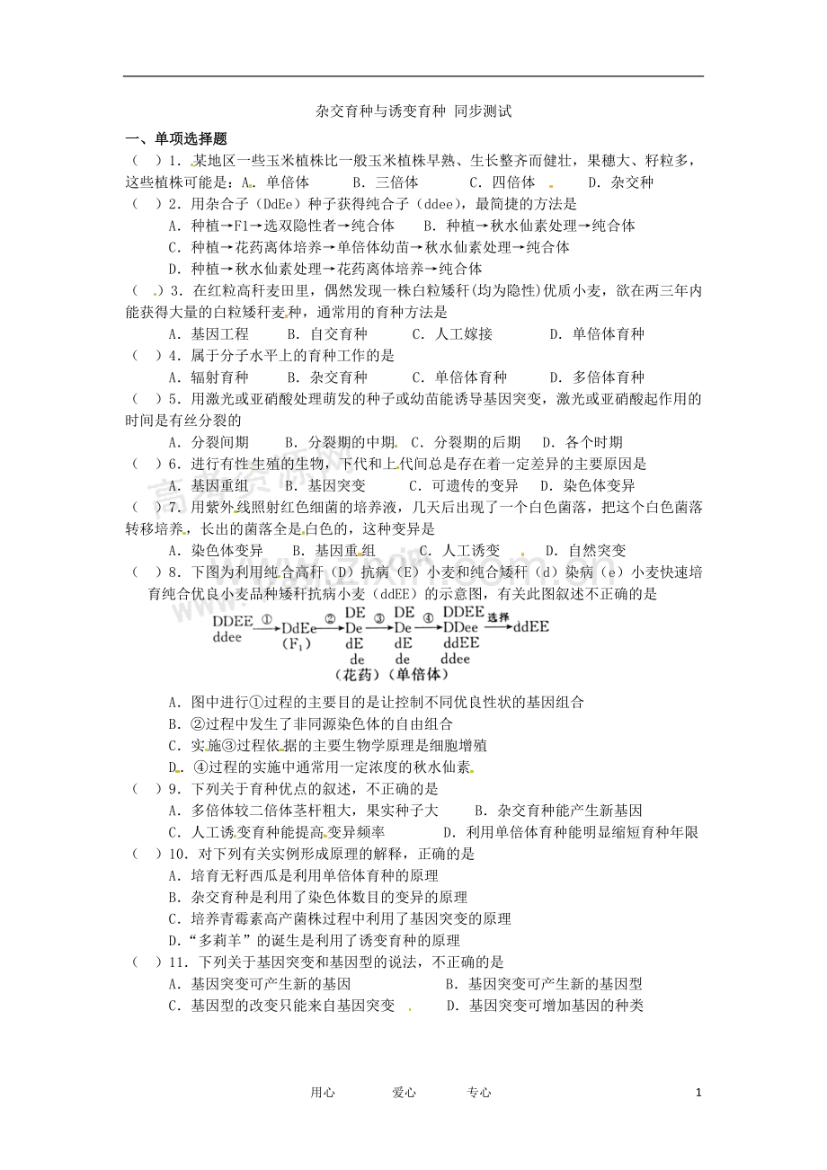 高中生物-6.1《-杂交育种与诱变育种》测试2-新人教版必修2.doc_第1页