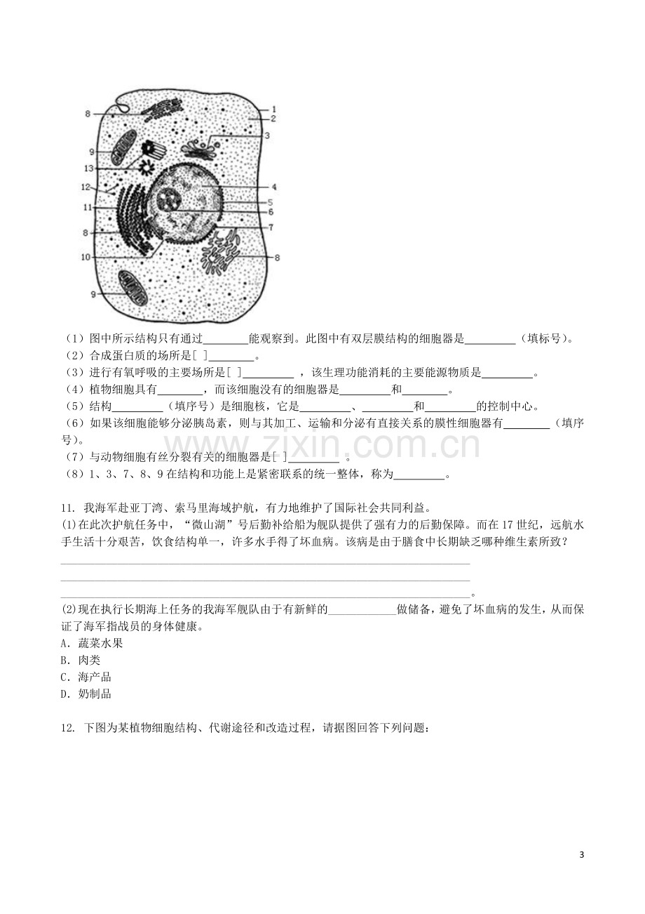 吉林省吉林一中2013-2014学年高一生物上学期综合过关检测.doc_第3页