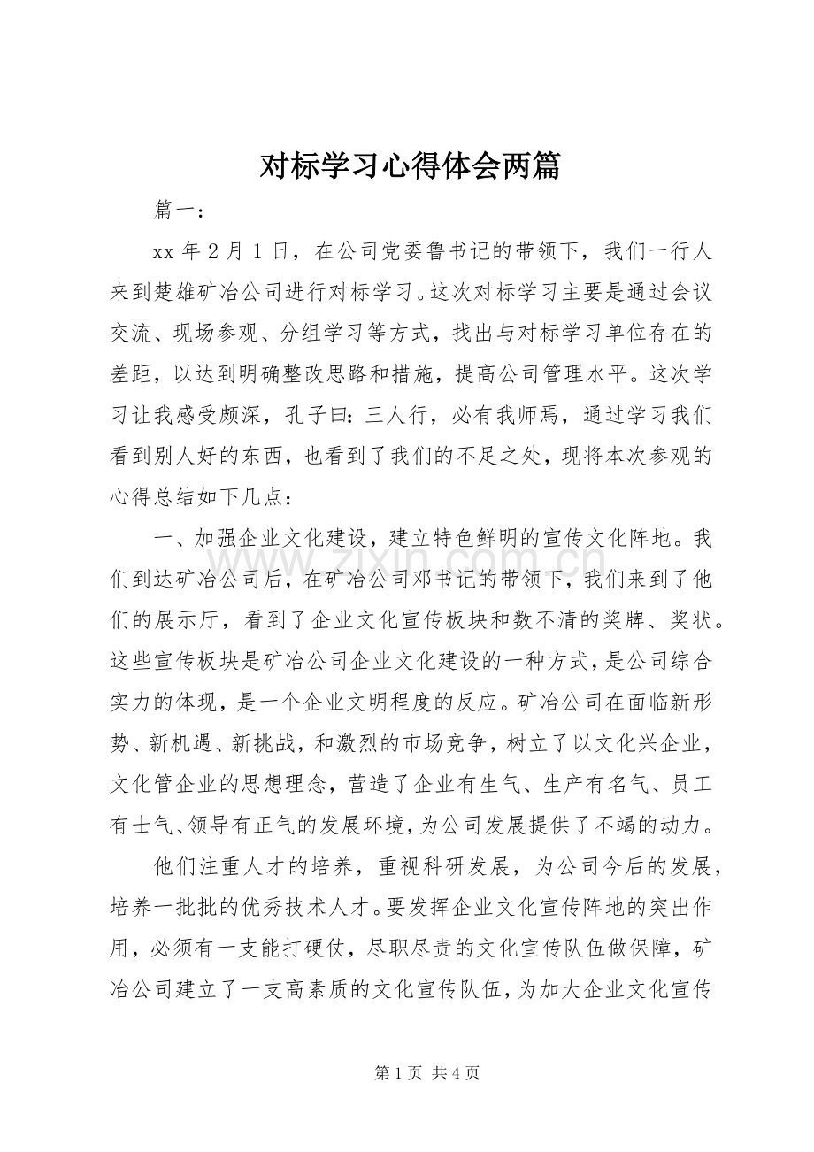 对标学习心得体会两篇.docx_第1页