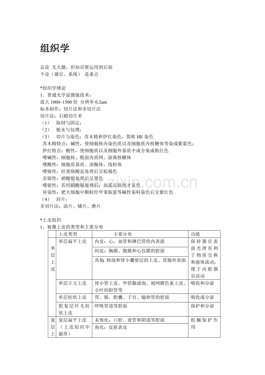 组织学与胚胎学重点2.doc_第1页