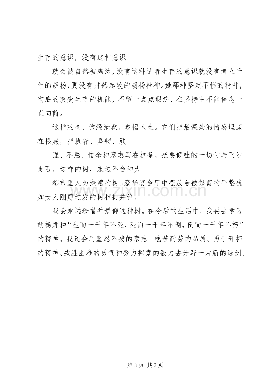 胡杨精神永存演讲稿.docx_第3页