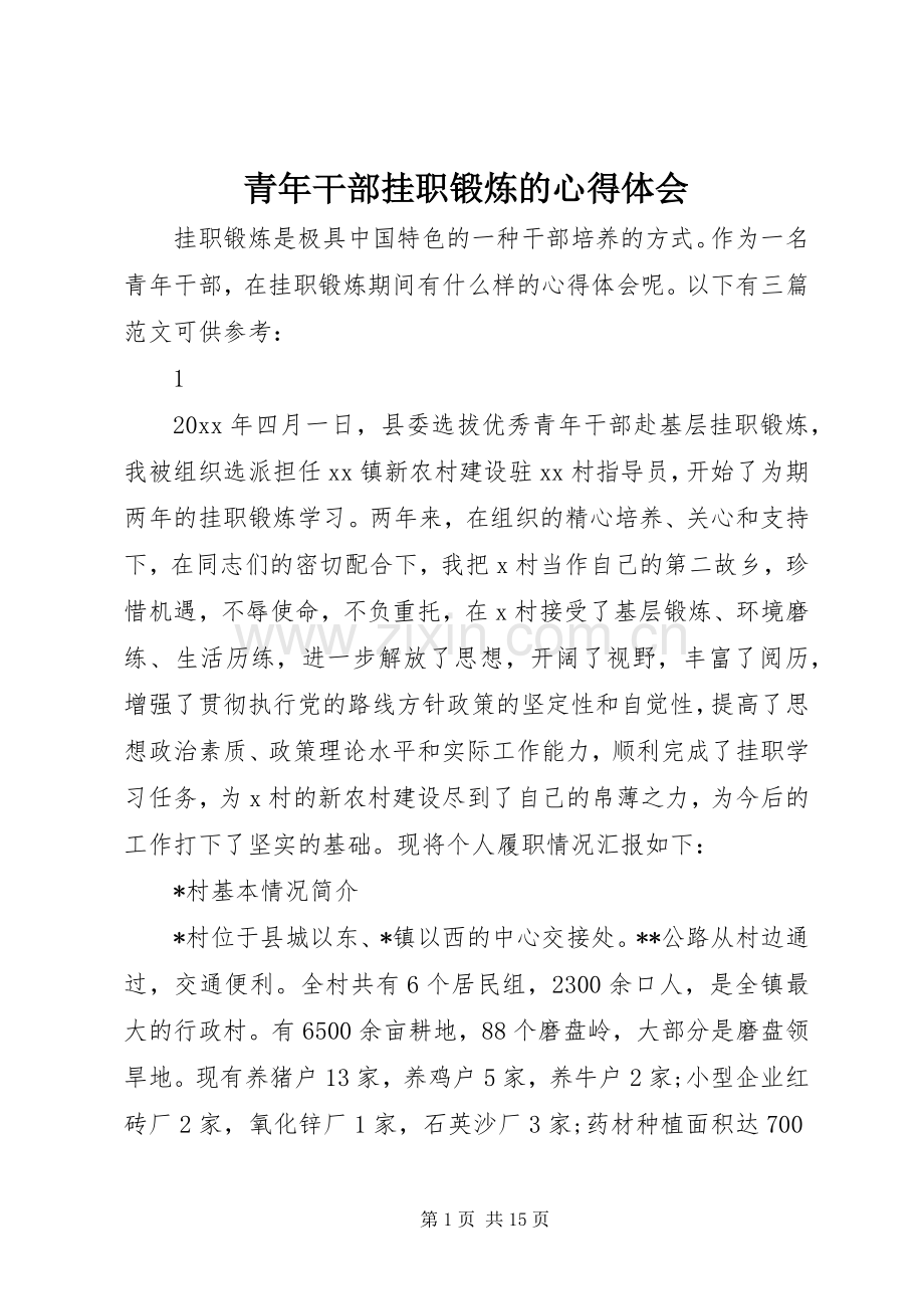 青年干部挂职锻炼的心得体会.docx_第1页