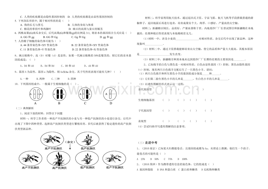 《生物的遗传和变异》复习学案.doc_第2页