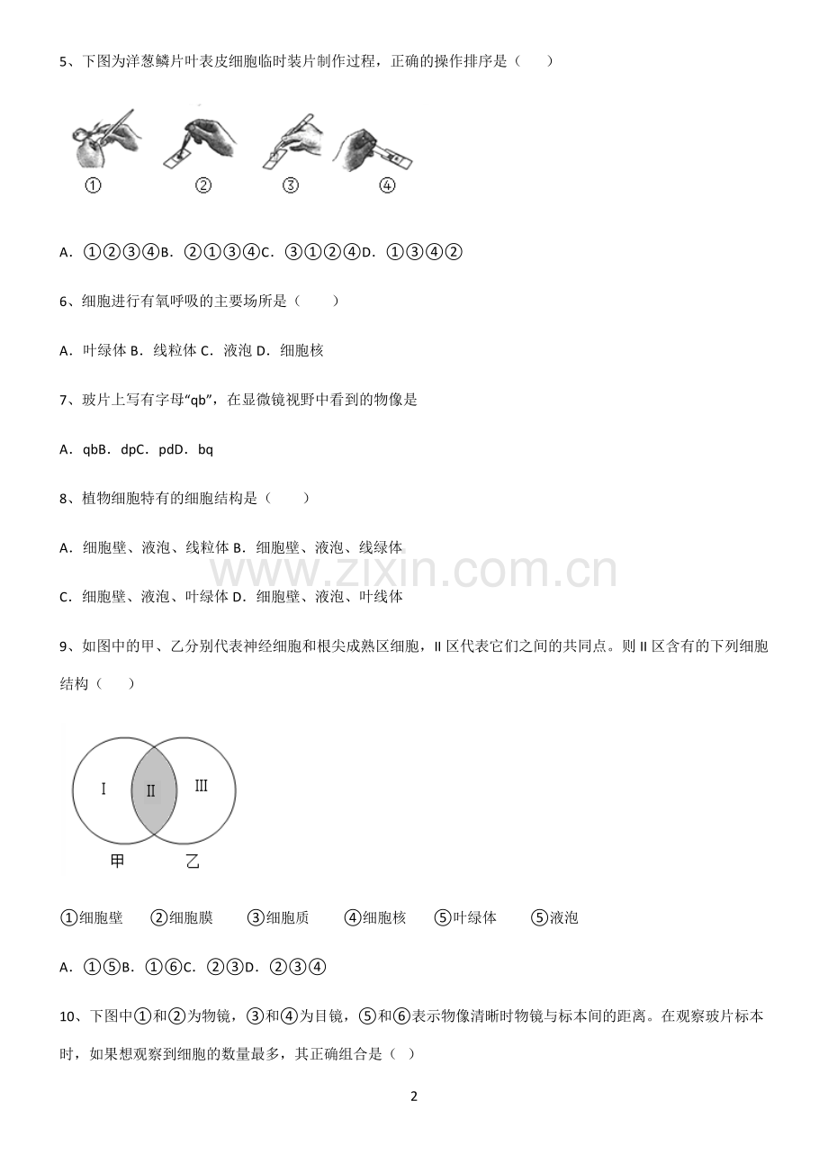 (文末附答案)人教版2022年初中生物生物体的结构层次知识点总结().pdf_第2页