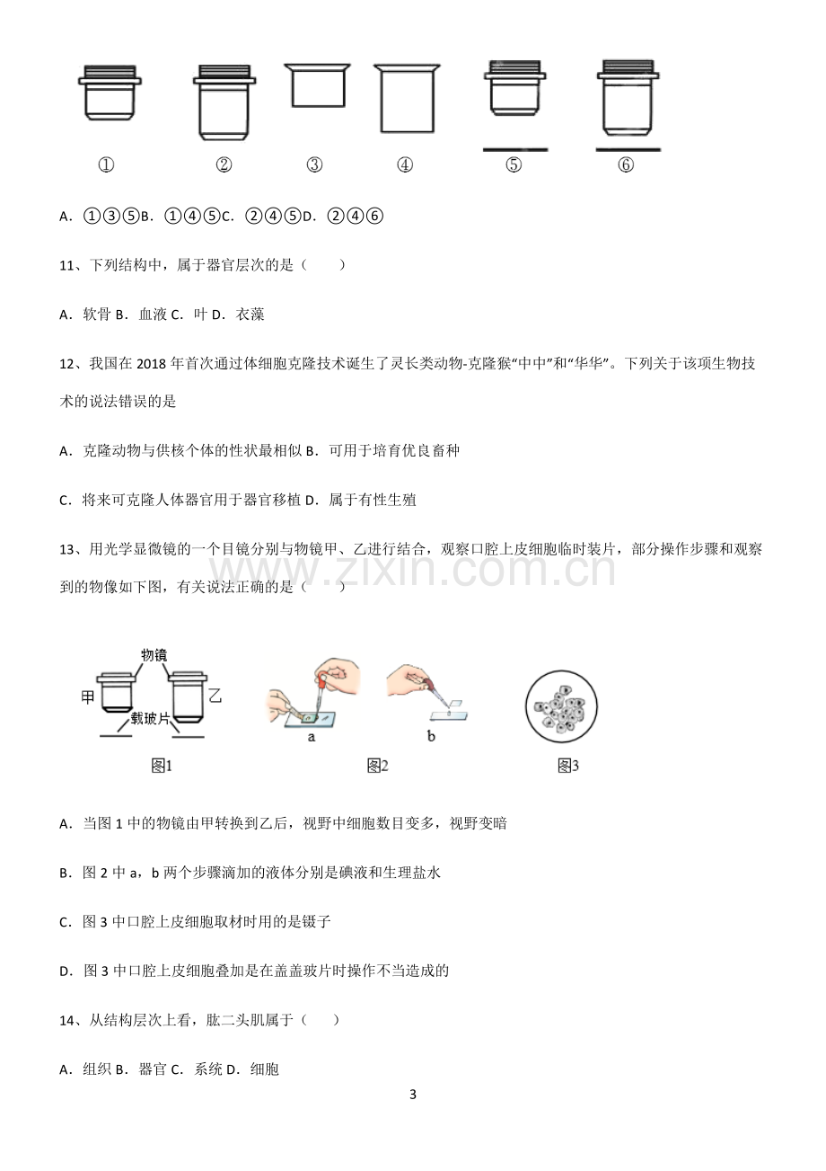 (文末附答案)人教版2022年初中生物生物体的结构层次知识点总结().pdf_第3页