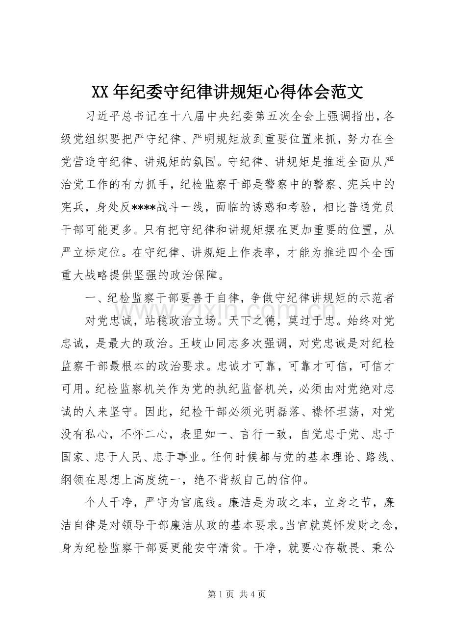 XX年纪委守纪律讲规矩心得体会范文.docx_第1页