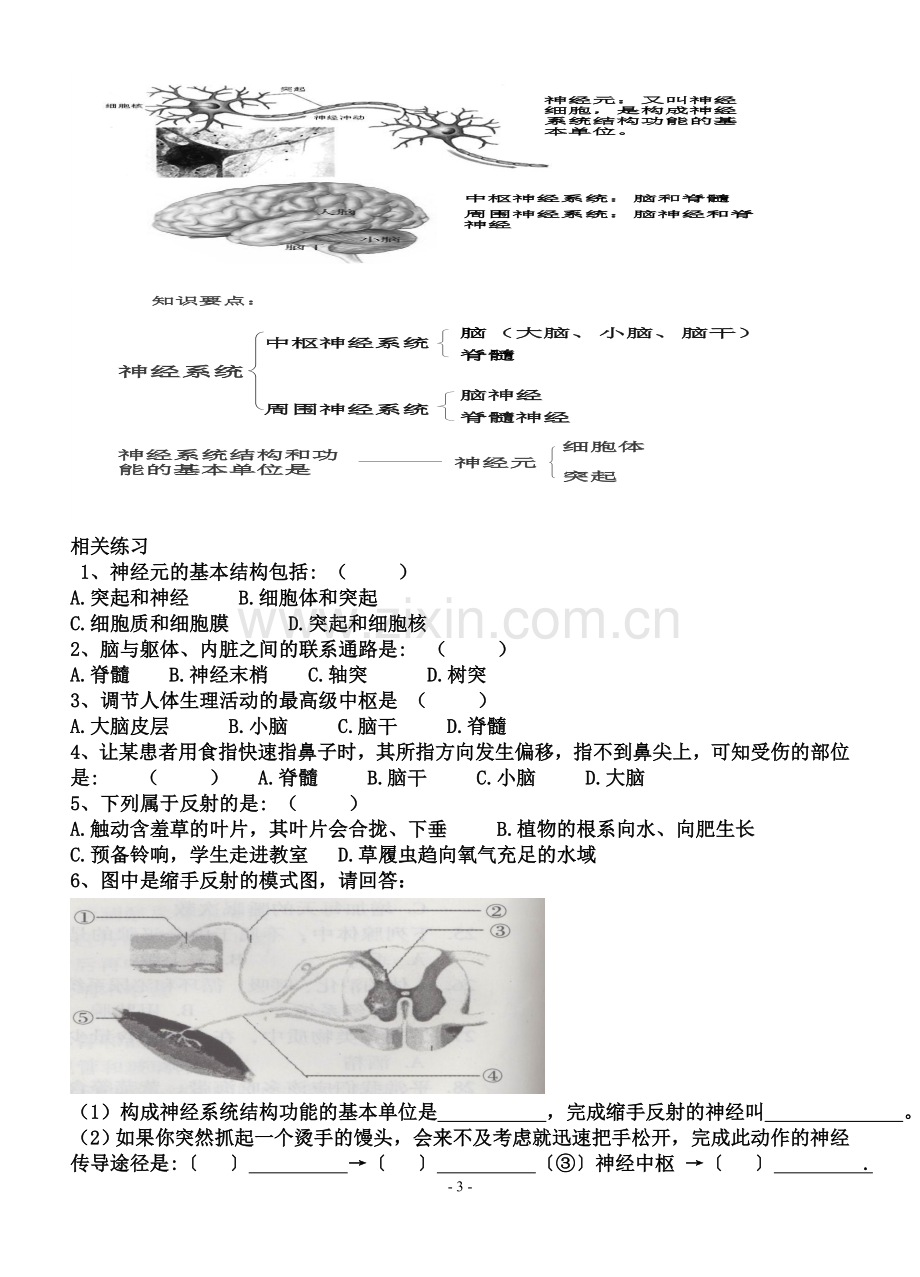 四、人体通过神经系统调节生命活动[1].doc_第3页