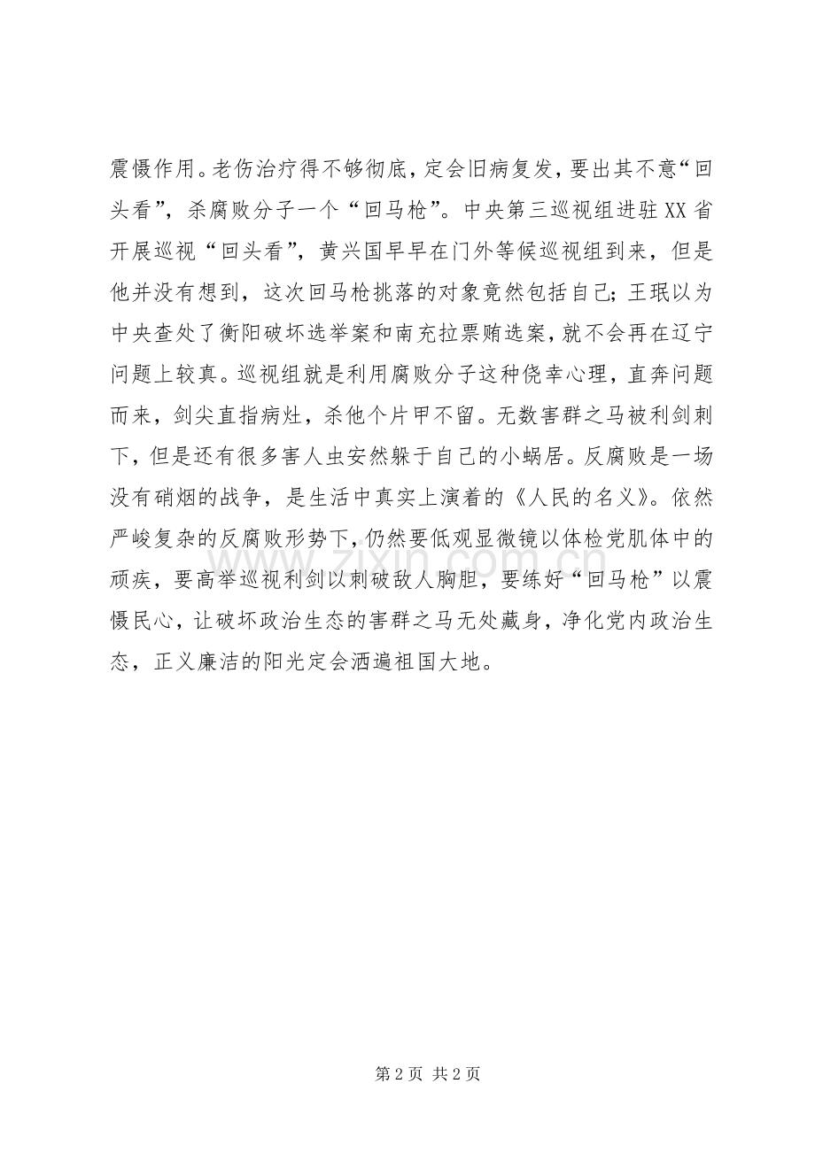 《巡视利剑》学习心得：高悬巡视利剑精准发现病灶.docx_第2页