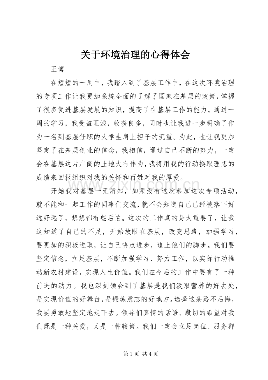 关于环境治理的心得体会.docx_第1页