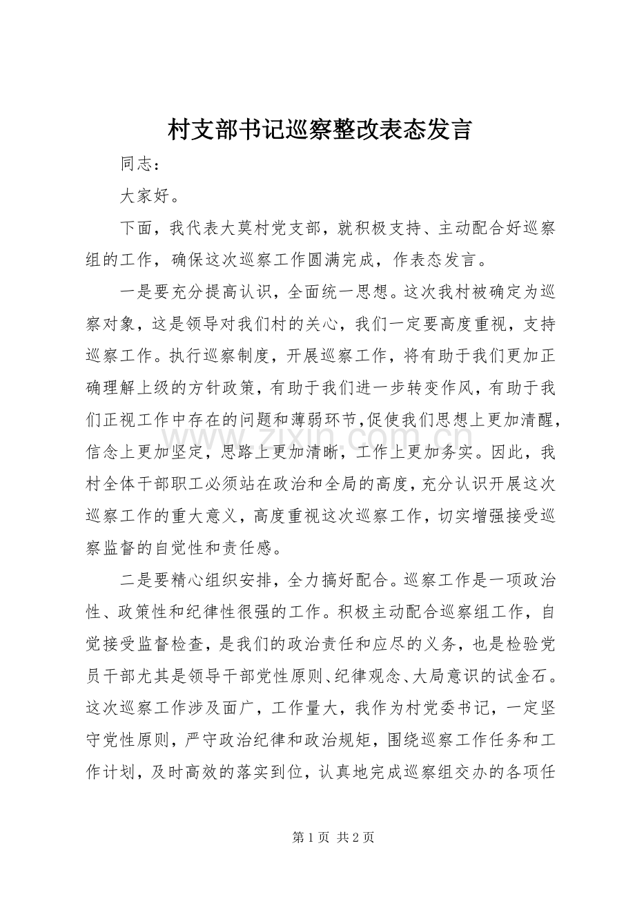 村支部书记巡察整改表态发言.docx_第1页