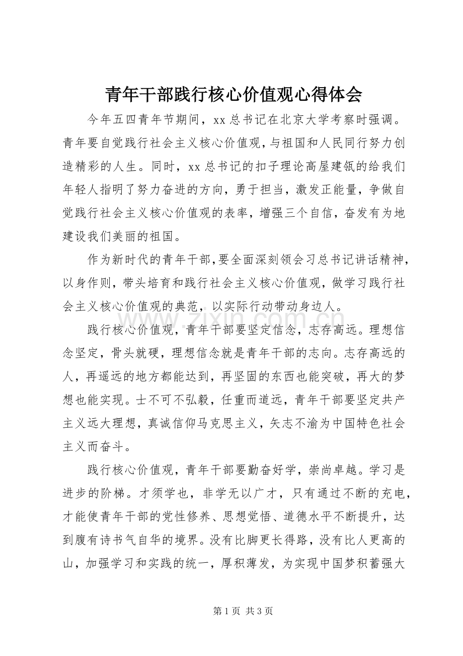 青年干部践行核心价值观心得体会.docx_第1页