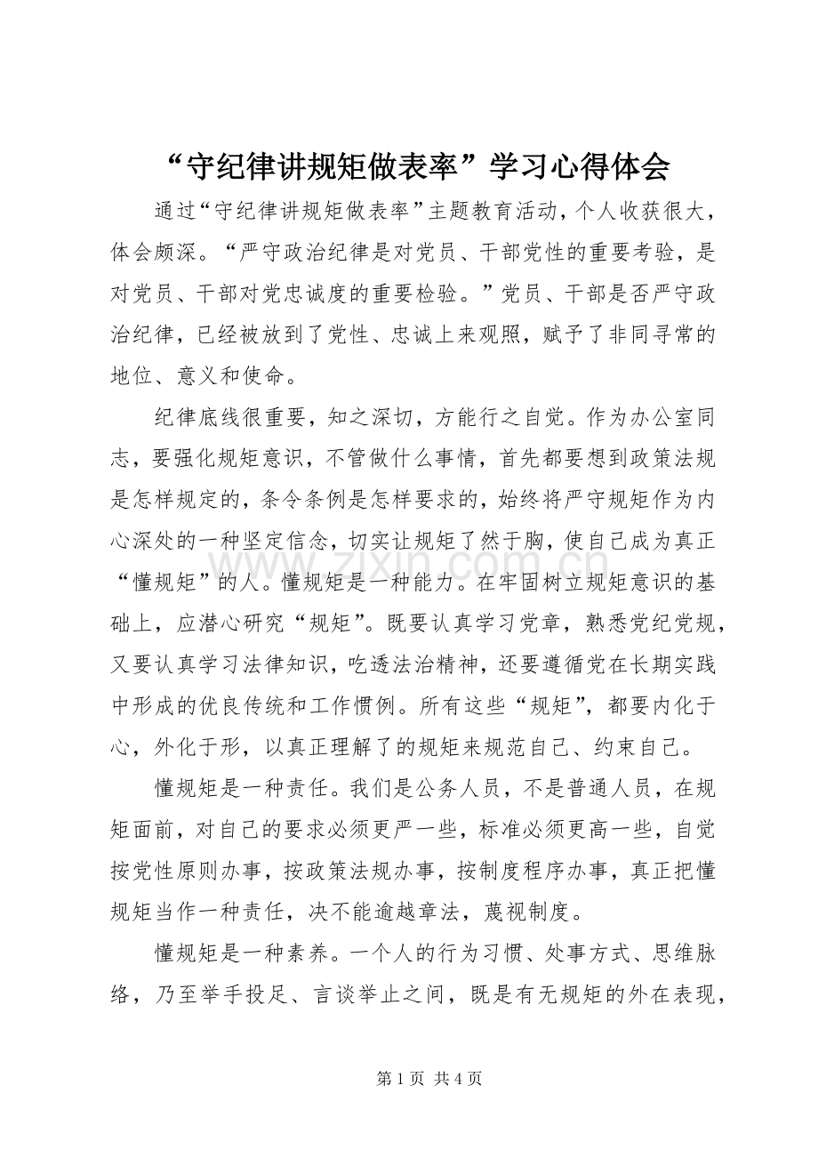 “守纪律讲规矩做表率”学习心得体会.docx_第1页