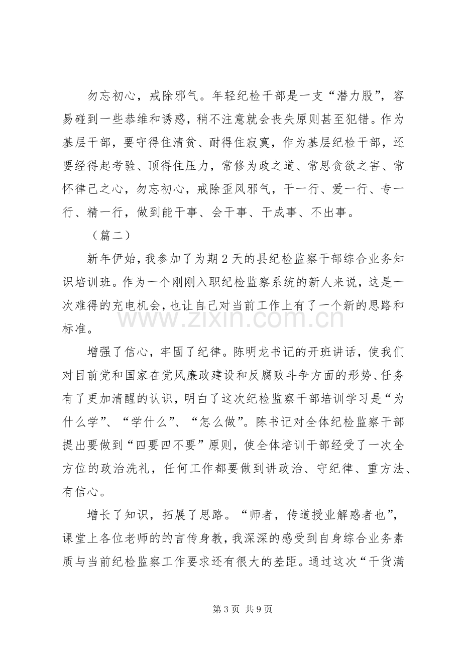 纪检监察干部工作心得（6则）.docx_第3页