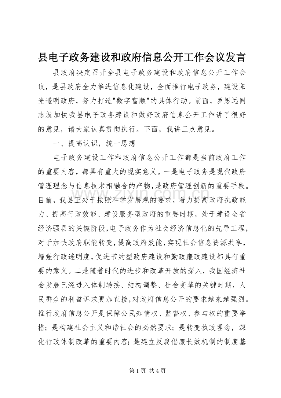 县电子政务建设和政府信息公开工作会议发言.docx_第1页