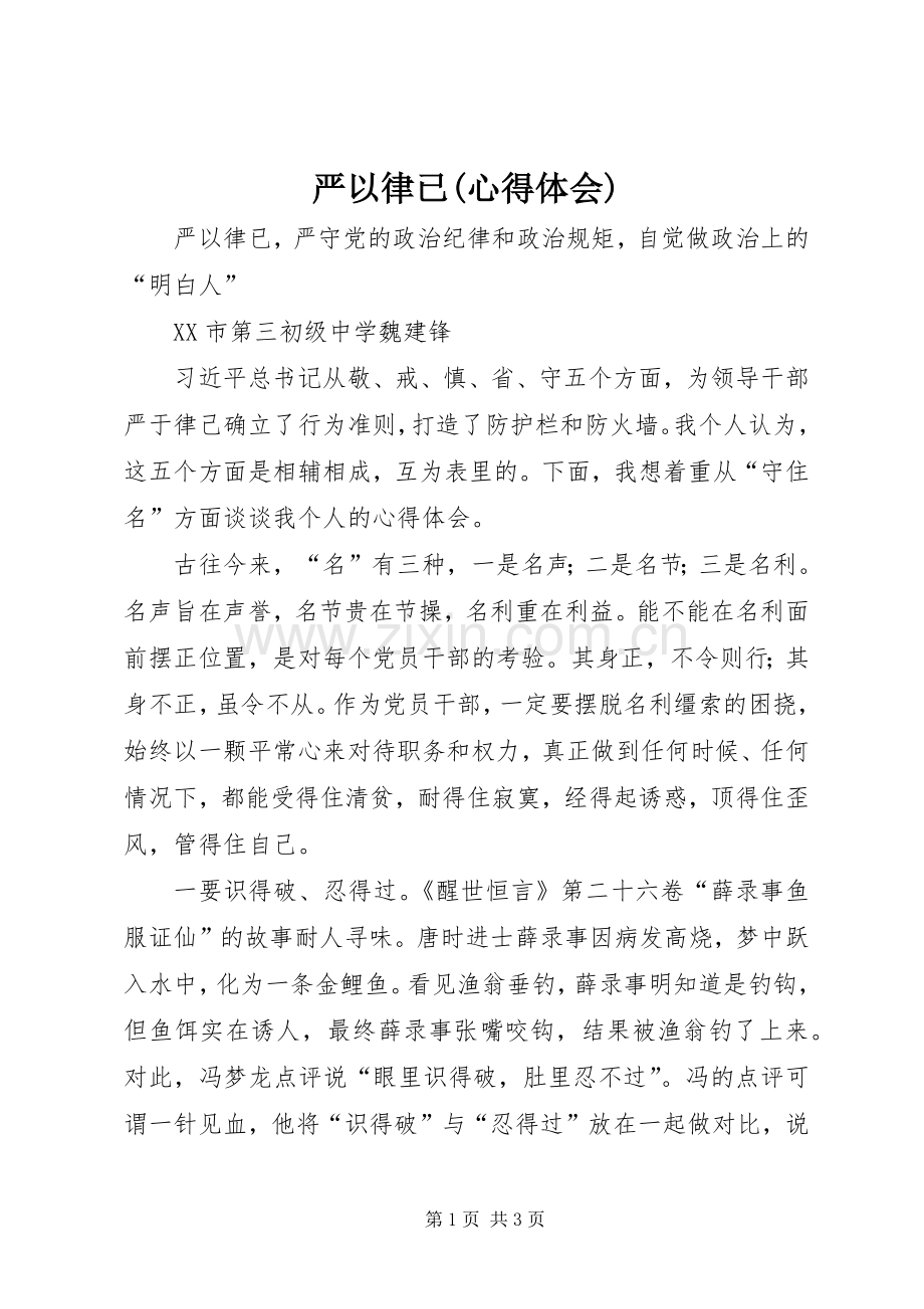 严以律已(心得体会).docx_第1页