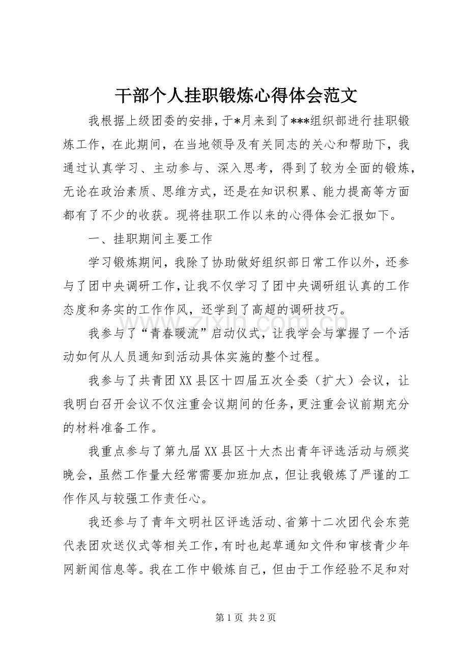 干部个人挂职锻炼心得体会范文.docx_第1页