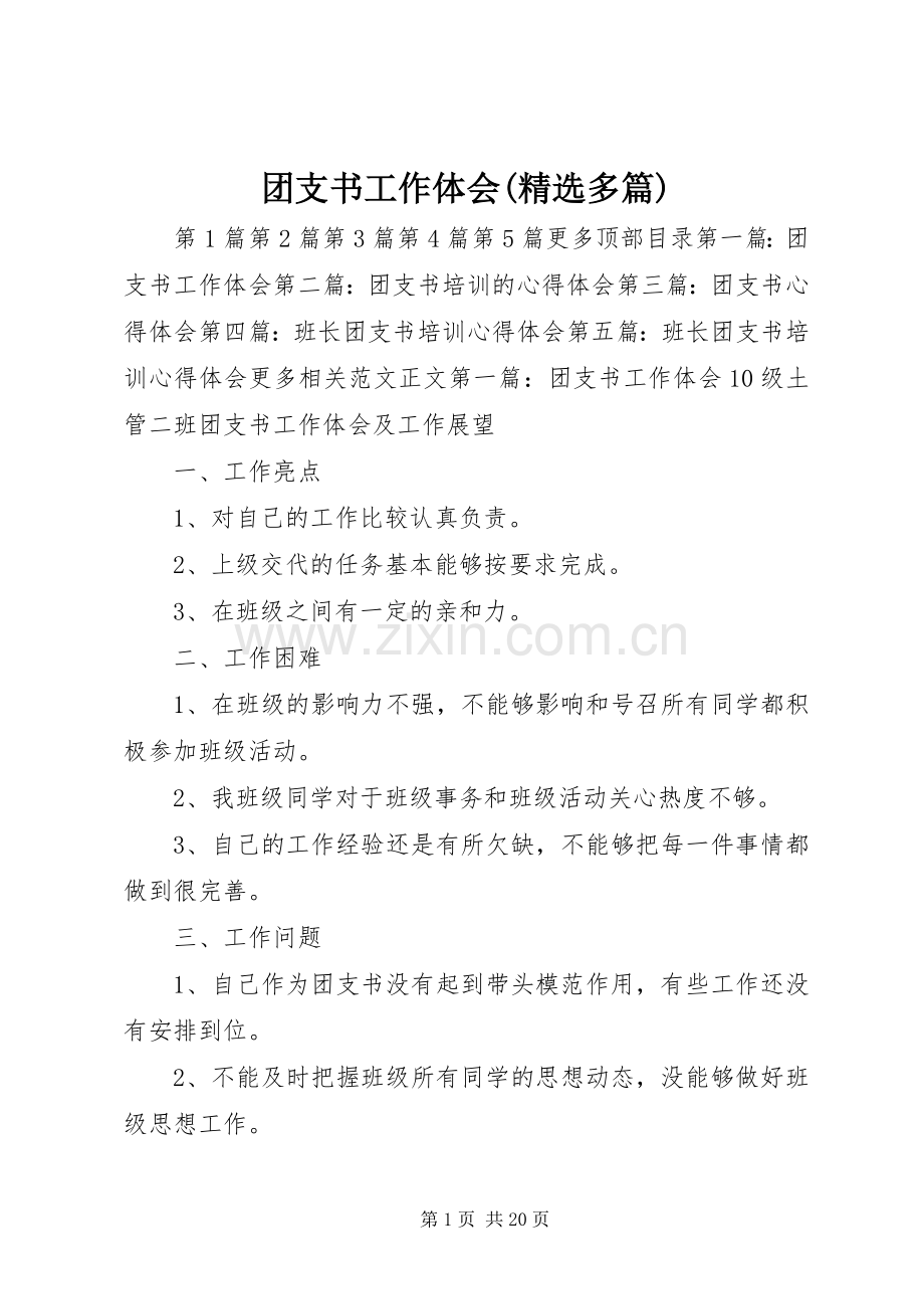 团支书工作体会(多篇).docx_第1页