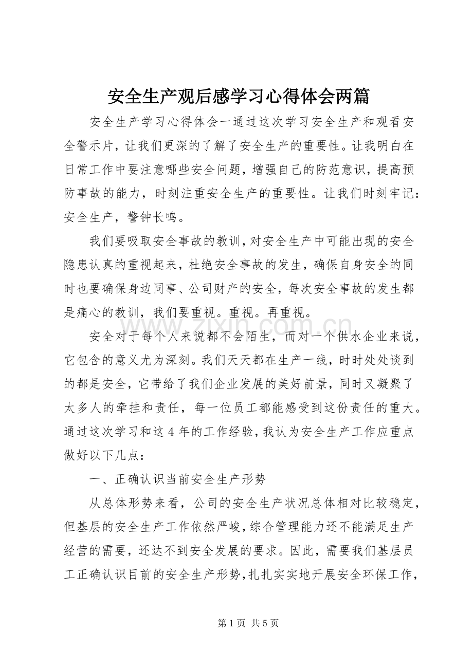 安全生产观后感学习心得体会两篇.docx_第1页