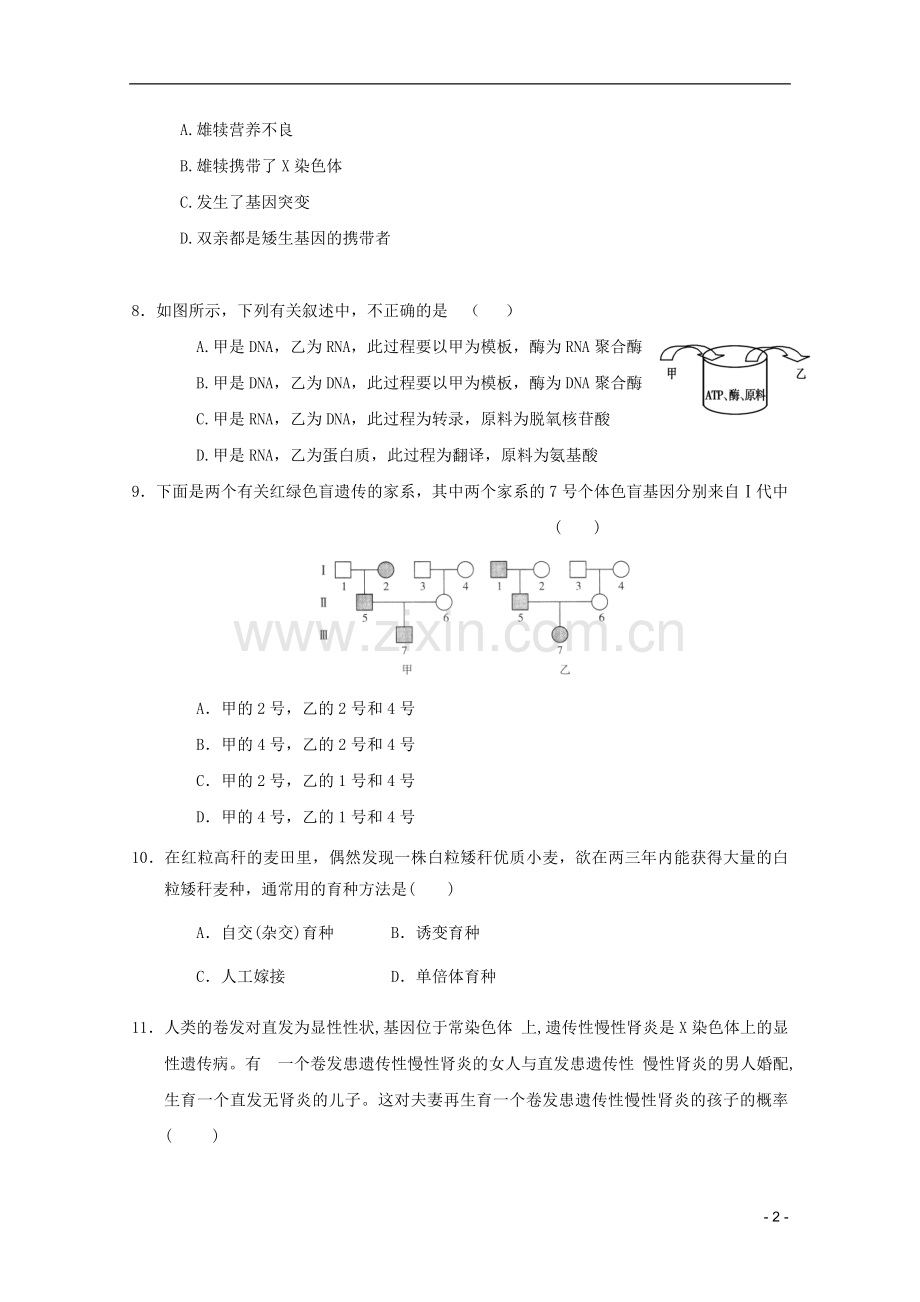 山东省2011-2012学年高中生物遗传与进化模块测试16-新人教版必修2.doc_第2页