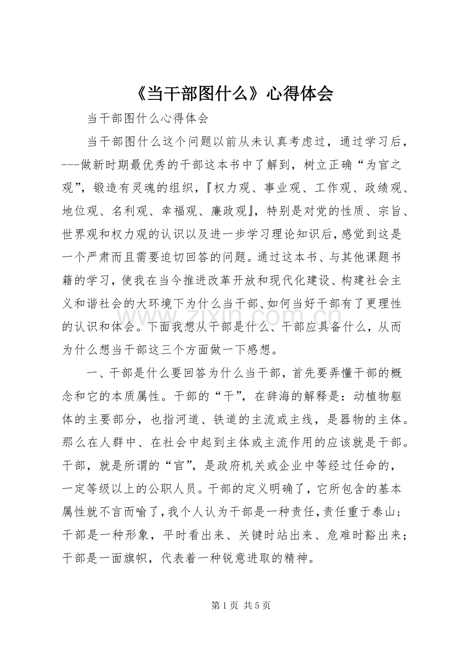 《当干部图什么》心得体会_7.docx_第1页