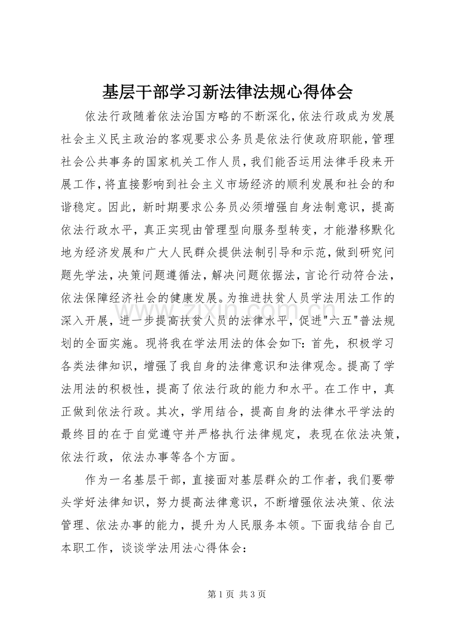 基层干部学习新法律法规心得体会.docx_第1页