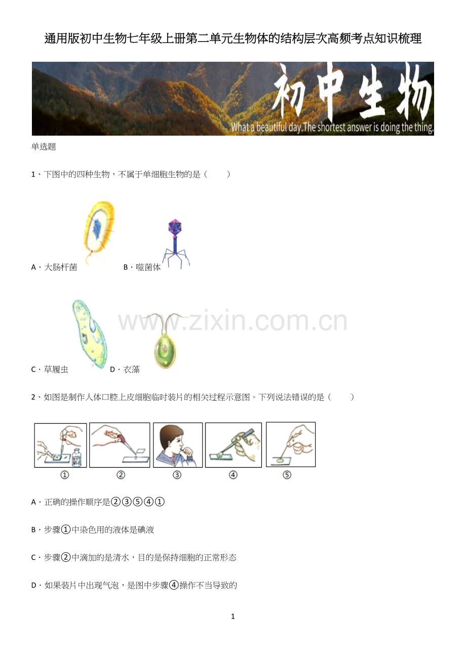 通用版初中生物七年级上册第二单元生物体的结构层次高频考点知识梳理.docx_第1页