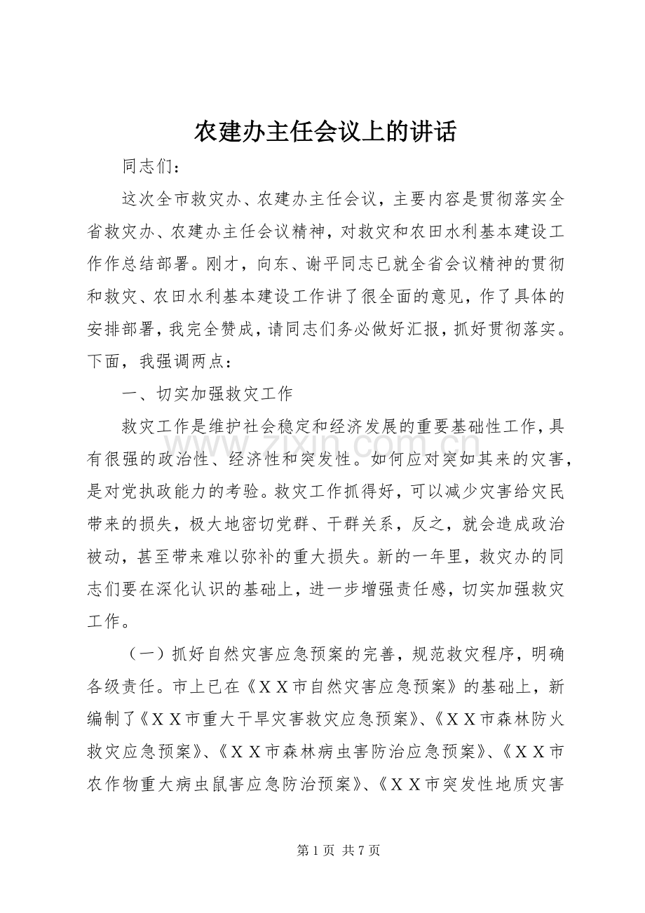 农建办主任会议上的讲话.docx_第1页