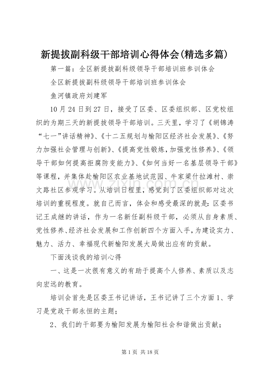 新提拔副科级干部培训心得体会(多篇).docx_第1页