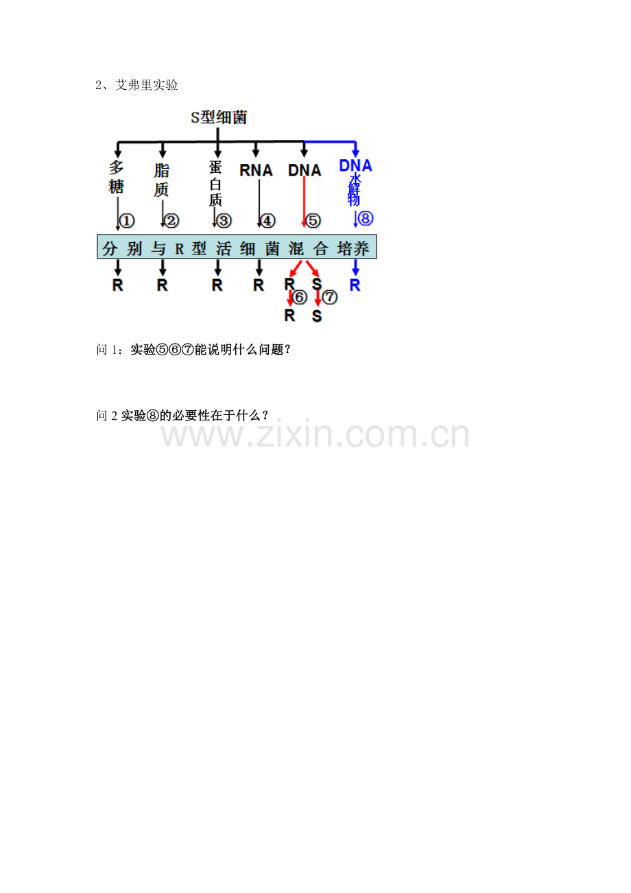 《DNA是主要的遗传物质》导学案.doc_第2页