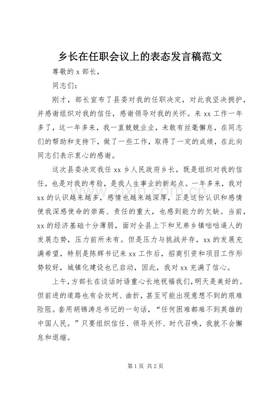 乡长在任职会议上的表态发言稿范文.docx_第1页