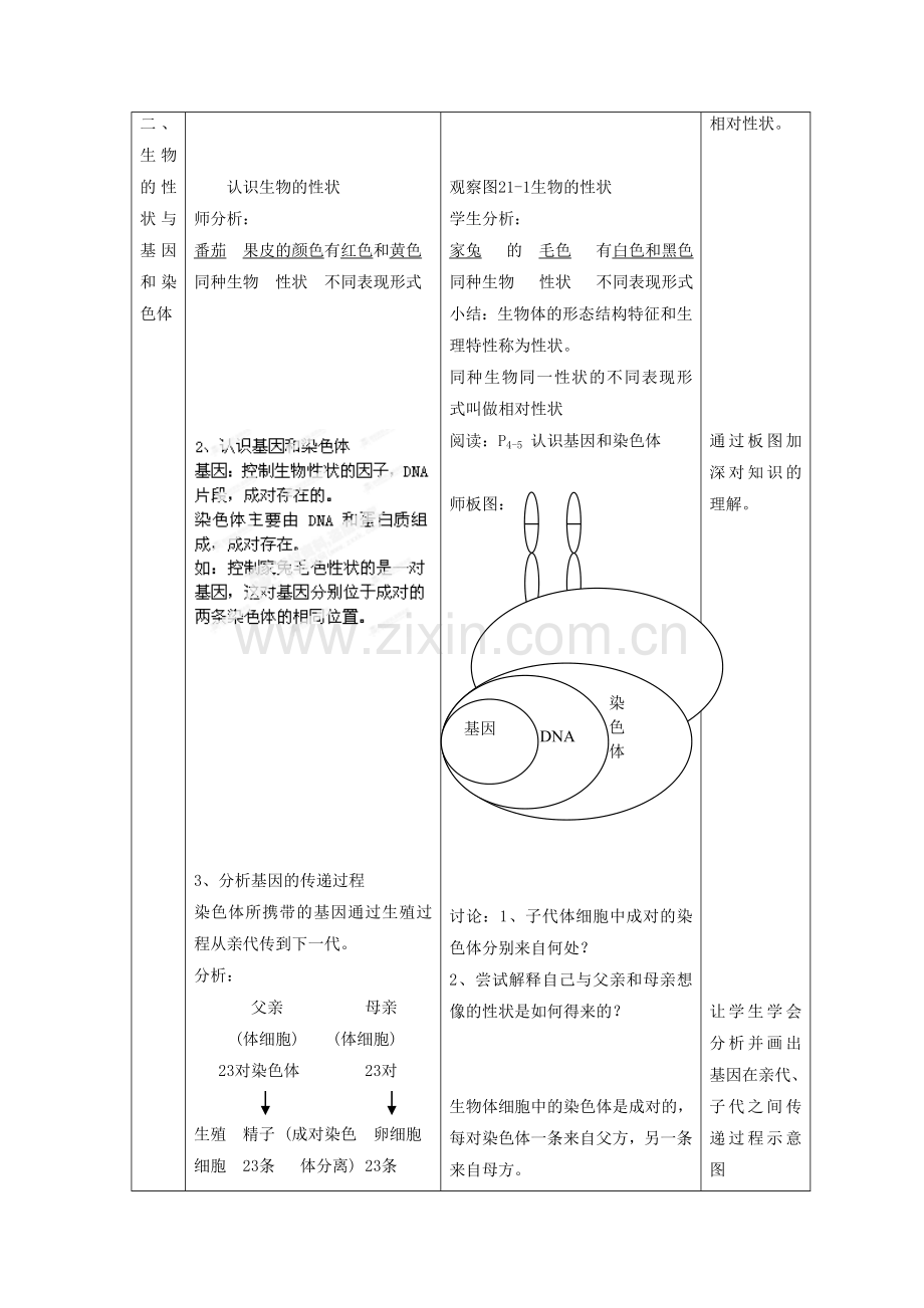 《第1节-生物的遗传》教案3.doc_第2页