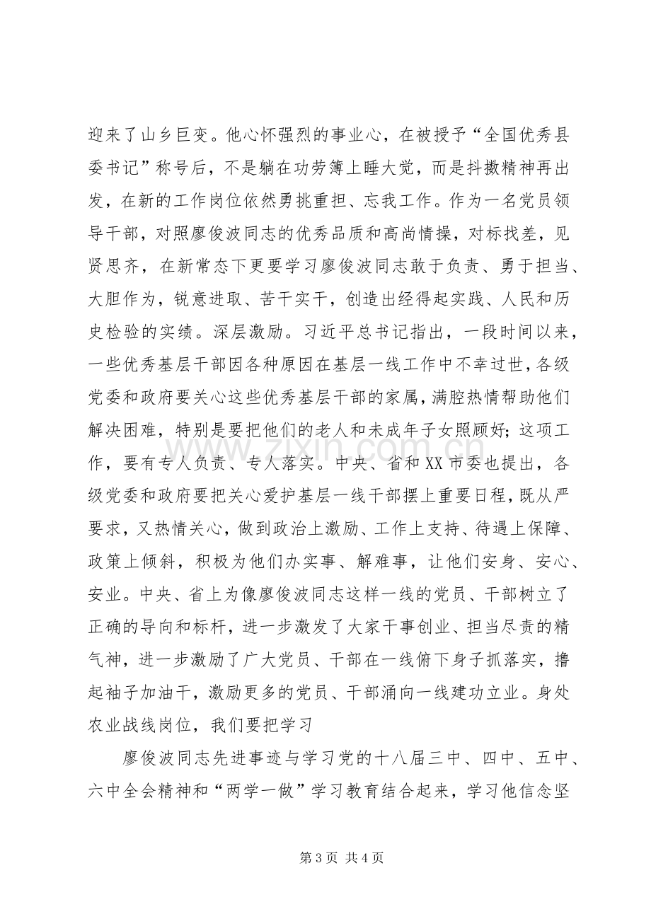 学习廖俊波同志心得体会.docx_第3页