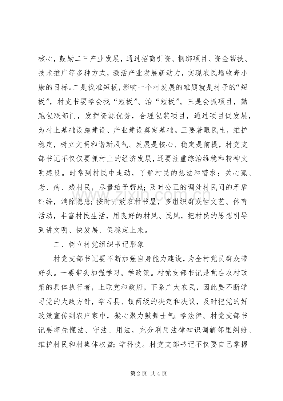 村支部书记心得体会.docx_第2页