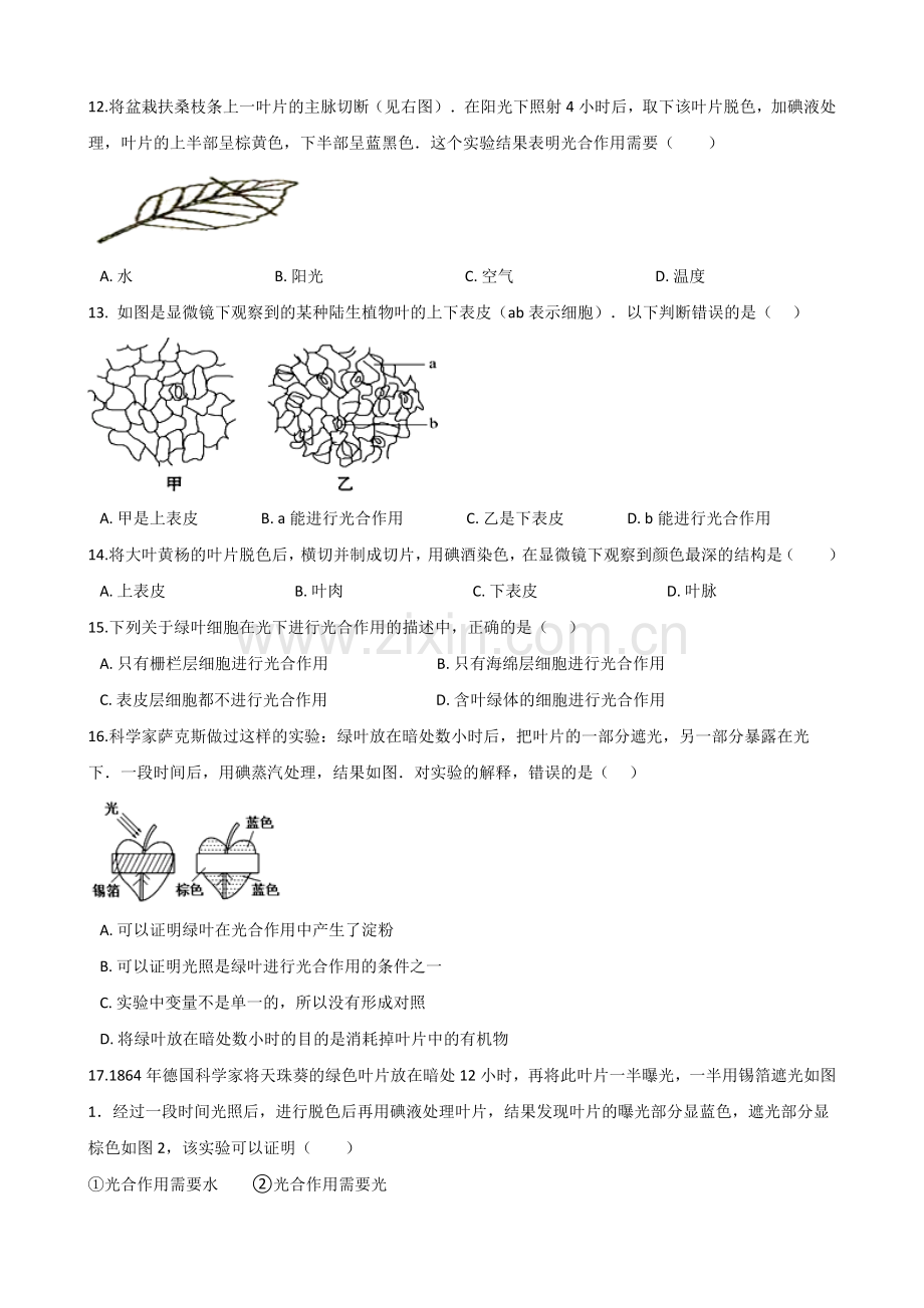 第节植物的光合作用.doc_第3页