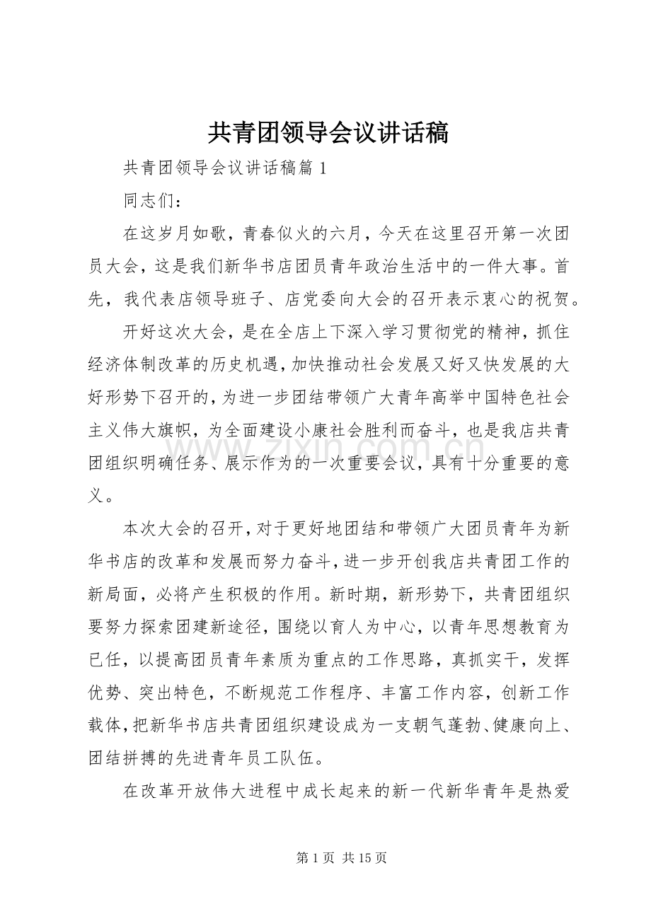 共青团领导会议讲话稿.docx_第1页