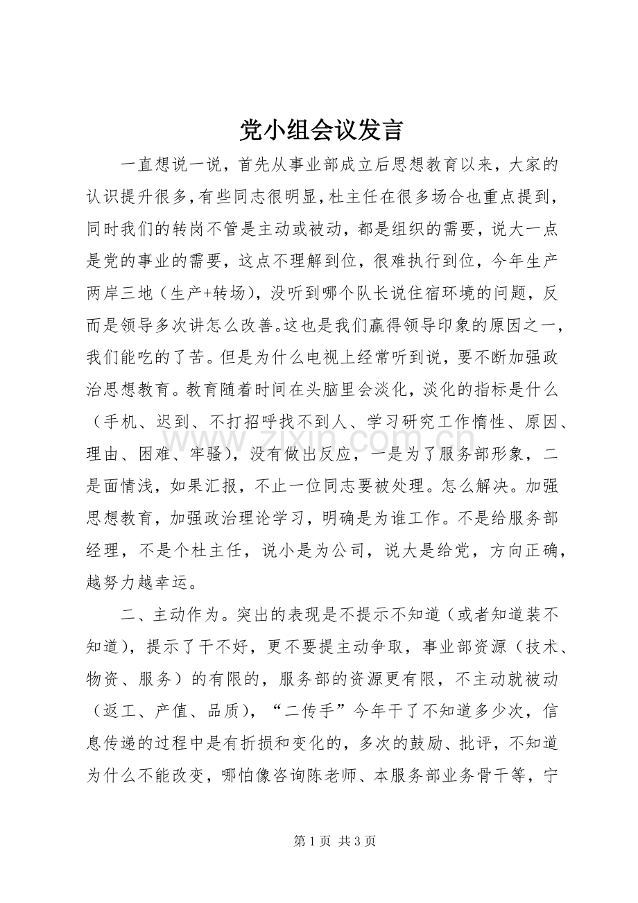 党小组会议发言.docx_第1页