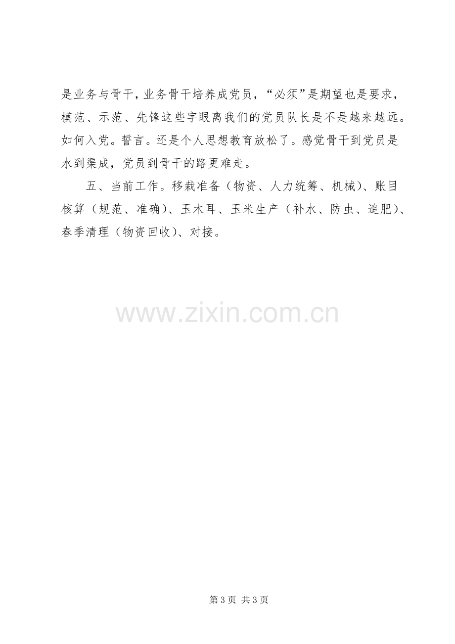 党小组会议发言.docx_第3页