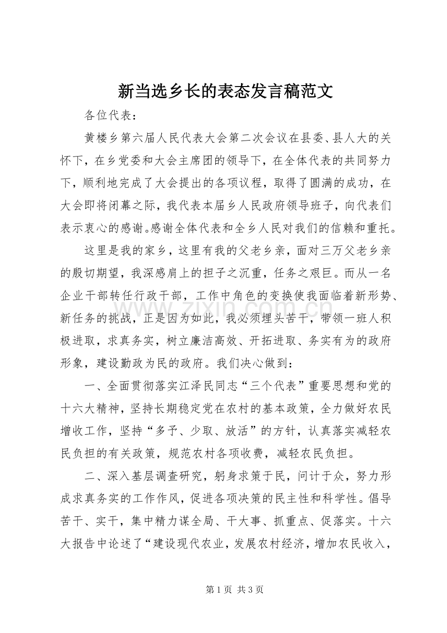 新当选乡长的表态发言稿范文.docx_第1页