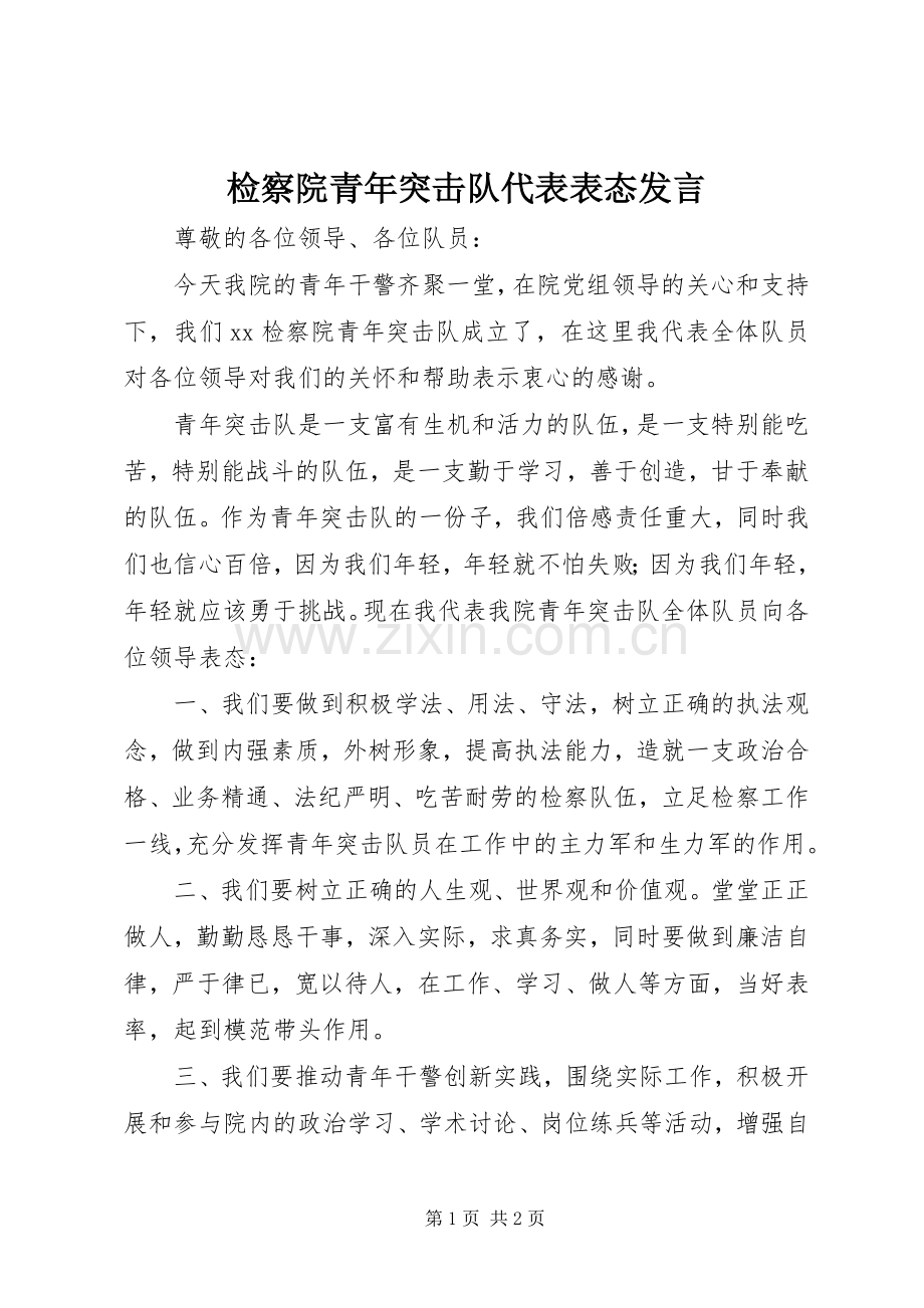 检察院青年突击队代表表态发言.docx_第1页