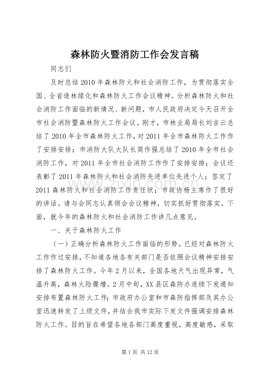 森林防火暨消防工作会发言稿.docx_第1页