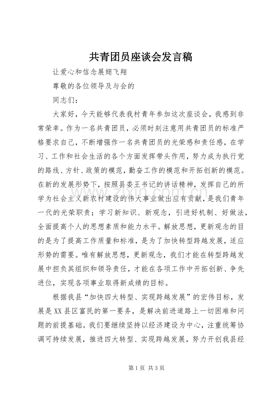 共青团员座谈会发言稿.docx_第1页