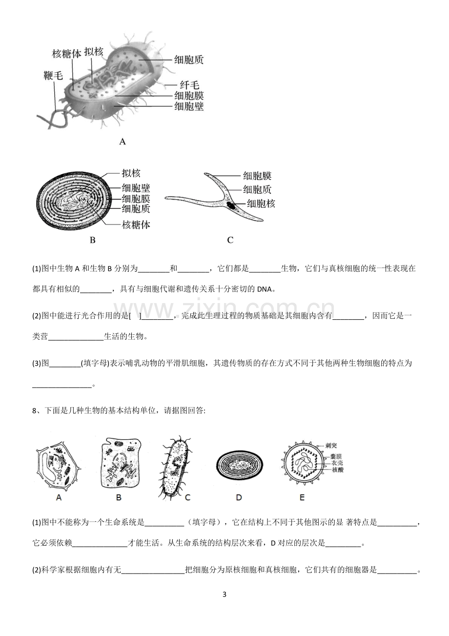 (文末附答案)人教版2022年高中生物第一章走进细胞基础知识题库.pdf_第3页