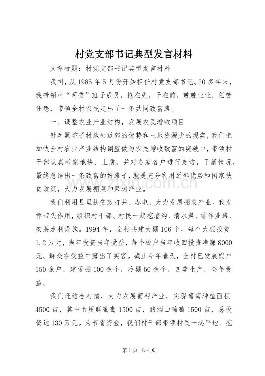 村党支部书记典型发言材料.docx_第1页